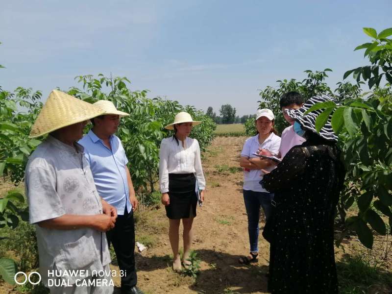 太康县毛庄镇的“傻子”干部